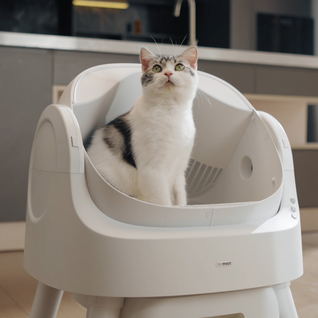 😺 Auto-Cleaning Smart Litter Box
