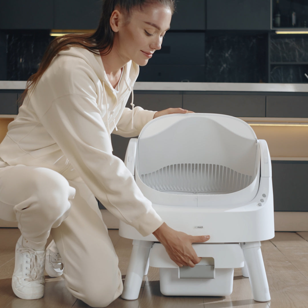😺 Auto-Cleaning Smart Litter Box